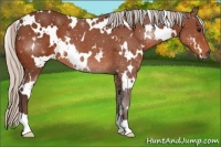 Horse Color:White Spotted Silver Bay 