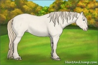 Horse Color:Smoky Creme Roan Dun 