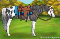 Horse Color:Black Splash Appaloosa 