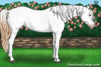 Horse Color:Buckskin Roan Dun Frame Blanket 