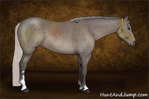 Horse Color:Silver Black Sabino