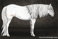 Horse Color:Silver Black Pearl Sabino Splash