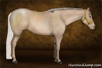 Horse Color:Silver Black Pearl Sabino Rabicano 