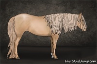 Horse Color:Chestnut Pearl Rabicano 