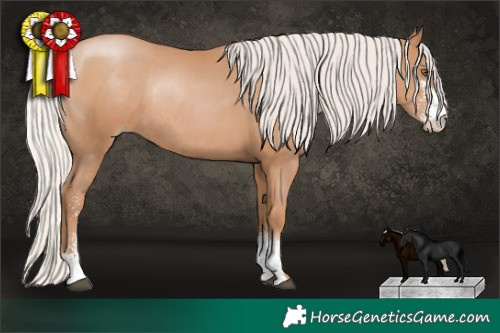Horse Color:Silver Black Pearl Sabino Rabicano