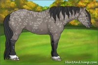 Horse Color:Grullo Ice 