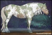 Horse Color:Watercolor White Spotted Silver Black 