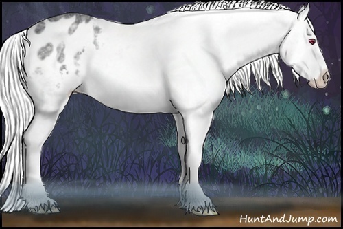 Horse Color:Silver Black Chinchilla Ice Splash Varnish Rabicano 