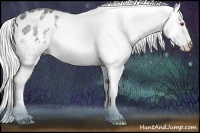 Horse Color:Silver Black Chinchilla Ice Splash Varnish Rabicano