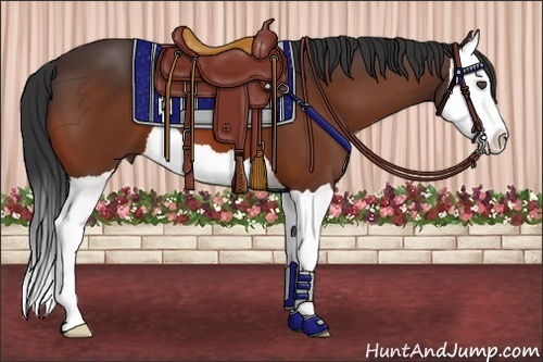 Horse Color:Bay Splash 