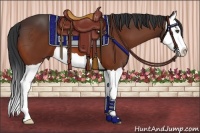 Horse Color:Bay Splash 