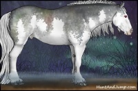 Horse Color:White Spotted Silver Black Chinchilla Splash Rabicano