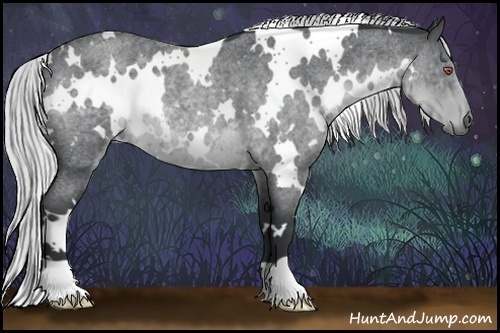 Horse Color:White Spotted Silver Blue Chinchilla Roan
