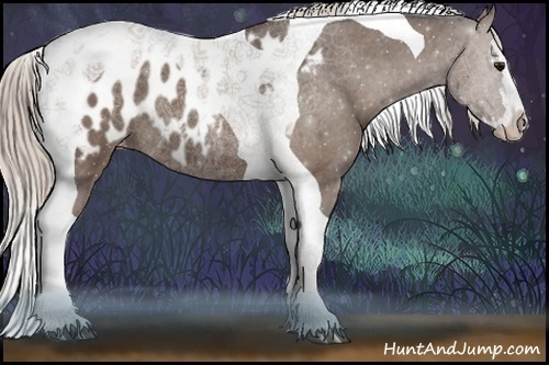 Horse Color:Silver Black Sabino Splash Tobiano Blanket Rabicano