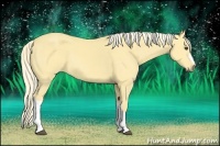 Horse Color:Palomino Dun 