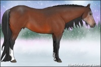 Horse Color:Bay Roan Tobiano