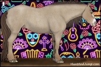 Horse Color:Classic Cream Champagne Roan Frame 