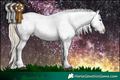 Horse Color:Palomino Tobiano Varnish 