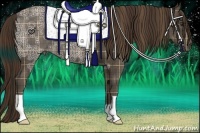 Horse Color:Plaid  Liver Chestnut Ice 