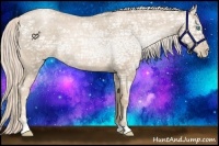 Horse Color:Chocolate Palomino Ice Roan Pearl Rabicano