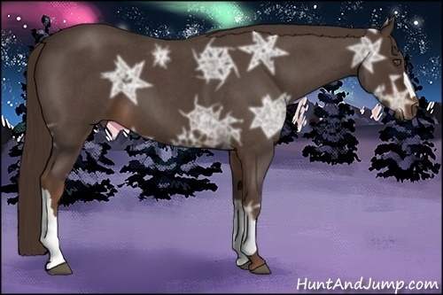 Horse Color:Liver Red Ice Roan 