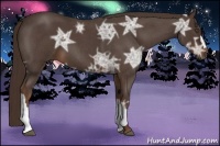 Horse Color:Liver Red Ice Roan 