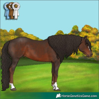 Horse Color:Liver Chestnut 