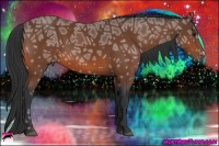 Horse Color:Bay Ice 