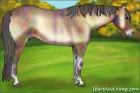Horse Color:Nacre Bay Onyx