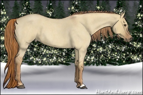 Horse Color:Red Dun Roan 