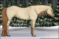 Horse Color:Red Dun Roan 