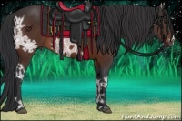 Horse Color:Bay Ice 