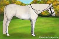 Horse Color:Perlino Sabino Brindle