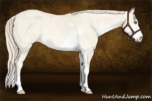 Horse Color:Perlino Dun Sabino  Brindle