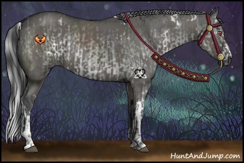 Horse Color:White Spotted Silver Black Chinchilla  and Grullo 