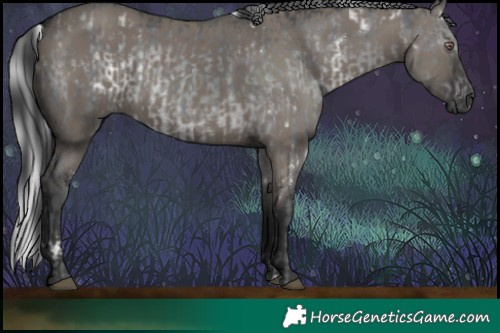 Horse Color:White Spotted Silver Black Chinchilla  and Grullo 