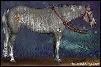 Horse Color:White Spotted Silver Black Chinchilla  and Grullo 