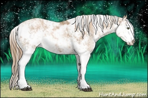 Horse Color:Liver Chestnut Pearl Sabino Brindle