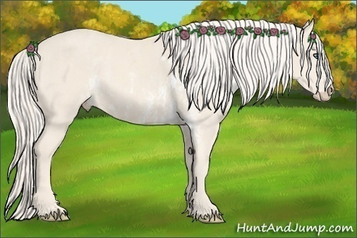 Horse Color:Cremello Sabino  Brindle