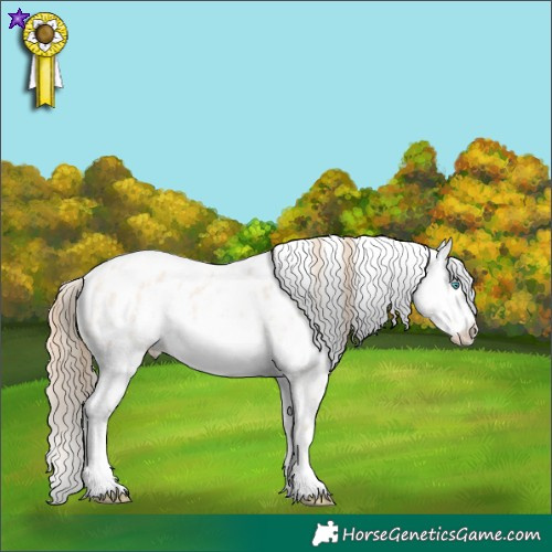 Horse Color:Perlino Dun Sabino Appaloosa  Brindle