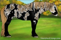 Horse Color:White Spotted Chestnut Ice Sabino Splash 