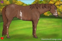 Horse Color:Chestnut Sabino Brindle