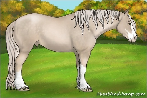 Horse Color:Chocolate Palomino Pearl Sabino 