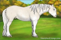 Horse Color:Cremello Sabino  Brindle