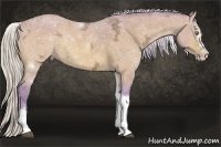 Horse Color:Watercolor Silver Bay Ice Dun Splash Tobiano 