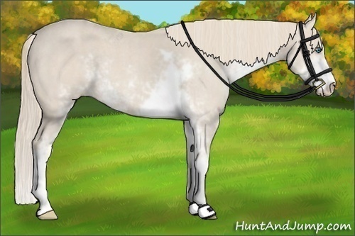 Horse Color:Smoky Creme Sabino Brindle