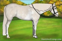 Horse Color:Smoky Creme Sabino  Brindle