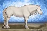 Horse Color:Smoky Creme Sabino  Brindle