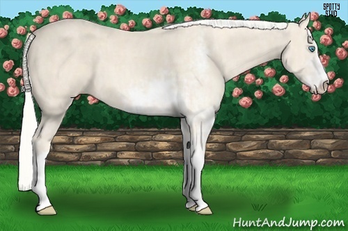 Horse Color:Cremello Sabino  Brindle