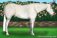 Horse Color:Cremello Sabino  Brindle
